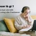 Freelancer là gì? Xu hướng lao động tự do