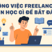 Công việc Freelancer nên học gì để bắt đầu?